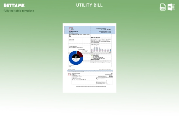 Модерен стил USA AEP Тексас, сметки за комунални услуги за електрична енергија